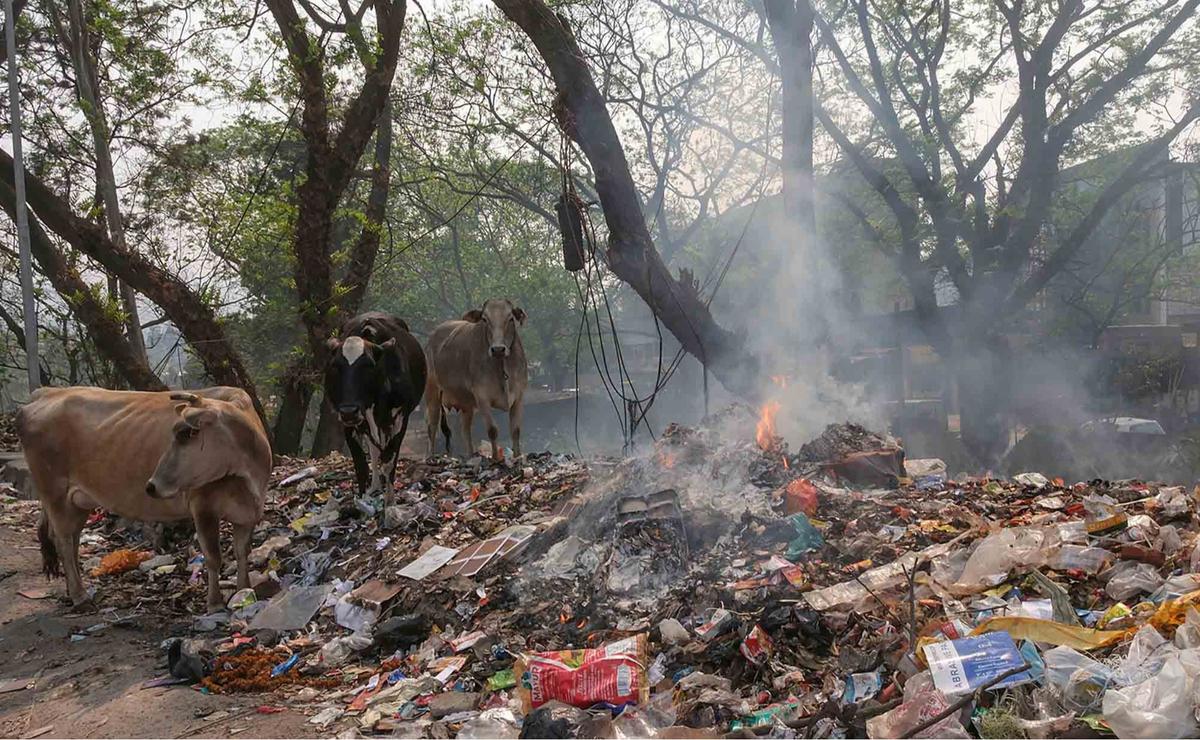 FOTO: Ngerinya Kota Terpolusi di Dunia Byrnihat,  Pakaian Yang Dikenakan Warga TerKontaminasi Debu Polusi