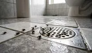 8 Cara Mengatasi Lalat Kecil yang Sering Muncul di Kamar Mandi
