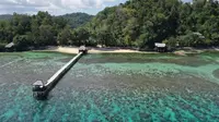 6 Fakta Menarik Tojo Una-Una, Punya Lokasi Menyelam Peninggalan Perang Dunia II