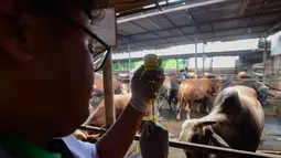 Pemeriksaan kesehatan dilakukan untuk memastikan hewan kurban yang diperjualbelikan dalam kondisi sehat, layak disembelih dan tidak memiliki penyakit bawaan yang bisa menular pada manusia. (merdeka.com/Arie Basuki)