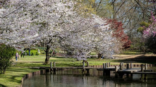 Memphis Botanic Garden