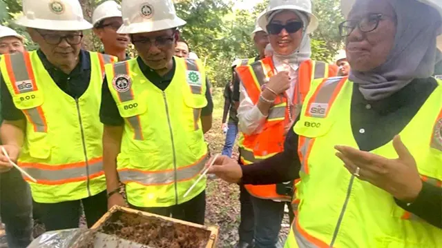 Budidaya Lebah Trigona di Lahan Pascatambang Semen Baturaja