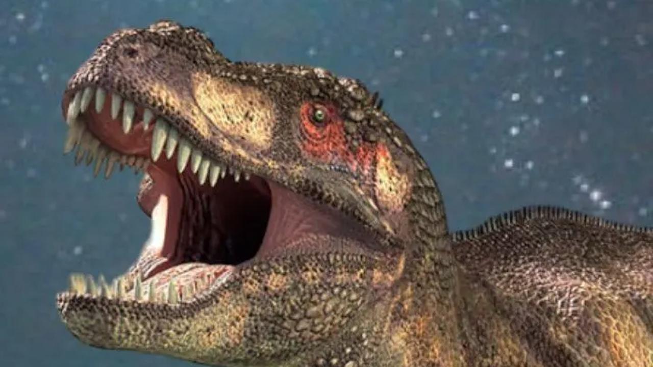 600 Jejak Kaki Dinosaurus Berusia 80 Juta Tahun Ditemukan di Sebuah Desa di China, Ilmuwan Prediksi Masih Ada Ribuan Lainnya