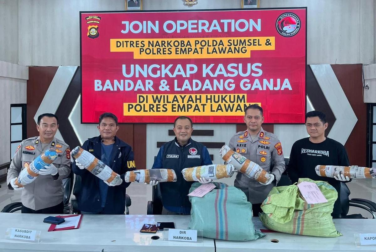 FOTO: Polda Sumsel Bongkar Ladang Ganja 20 Hektar di Empat Lawang