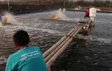 Serikat Pekerja eFishery Ungkap Ada 100 Karyawan di-PHK, Perusahaan Terancam Tutup