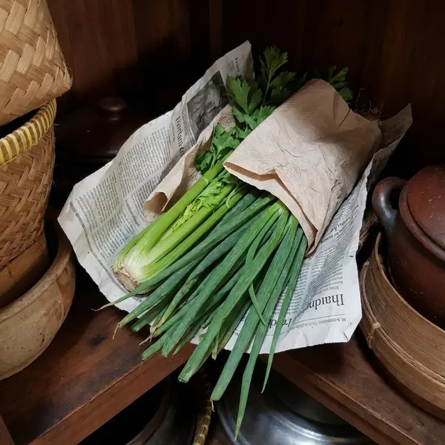 Menyimpan daun bawang dan seledri dengan membungkusnya pakai tisu dan kertas koran (Gemini AI)