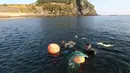 Haenyeo Korea Selatan keluar dari air setelah menangkap kerang dan abalone di pulau Jeju, 23 November 2018. Haenyeo, sebutan untuk penyelam wanita dari Pulau Jeju masuk daftar warisan budaya tak benda dari UNESCO pada November 2016. (AP/Ahn Young-joon)