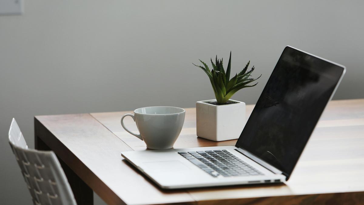 Bisa Jaga Kesehatan Mental, Ini Kenapa Melihat Tanaman di Meja Kerja Selama 3 Menit Bisa Turunkan Stres