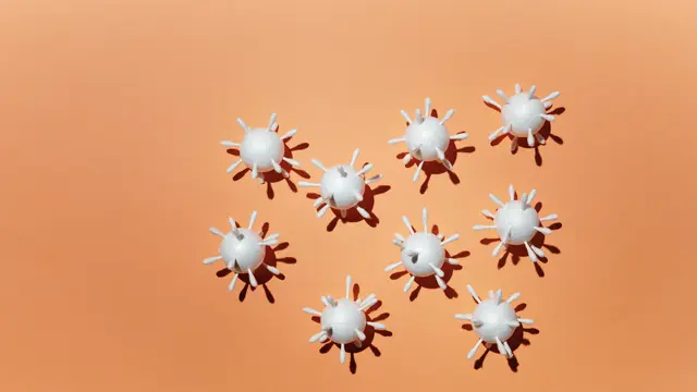 Mempercepat Regenerasi Sel