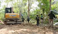 23 Perkara Kejahatan Kehutanan di Bukit Barisan dalam 10 Tahun
