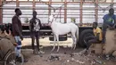 Seorang pria berdiri memamerkan kuda mudanya menjelang acara pacuan kuda di Ouagadougou (30/1/2022). Bagi banyak orang budaya kuda Burkinabe memainkan peran penting dalam kehidupan mereka, mulai dari beternak kuda untuk balap atau berpakaian, atau hingga acara pacuan kuda. (AFP/John Wessels)