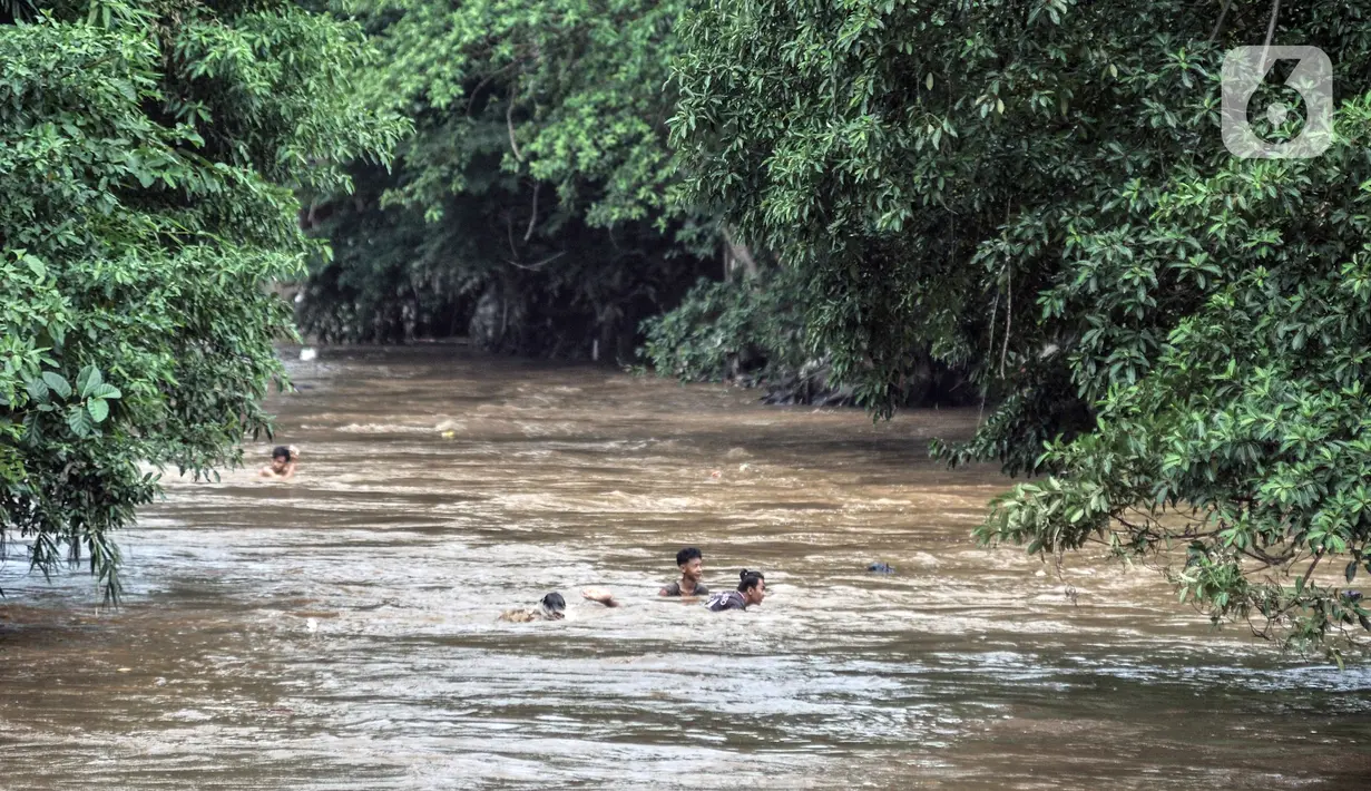 Anak-anak berenang di Kali Ciliwung yang meluap, Kebon Pala, Jatinegara, Jakarta Timur, Minggu (31/10/2021). Aliran Kali Ciliwung yang meluap akibat hujan di kawasan hulu dimanfaatkan anak-anak untuk berenang meski membahayakan keselamatan. (merdeka.com/Iqbal S. Nugroho)
