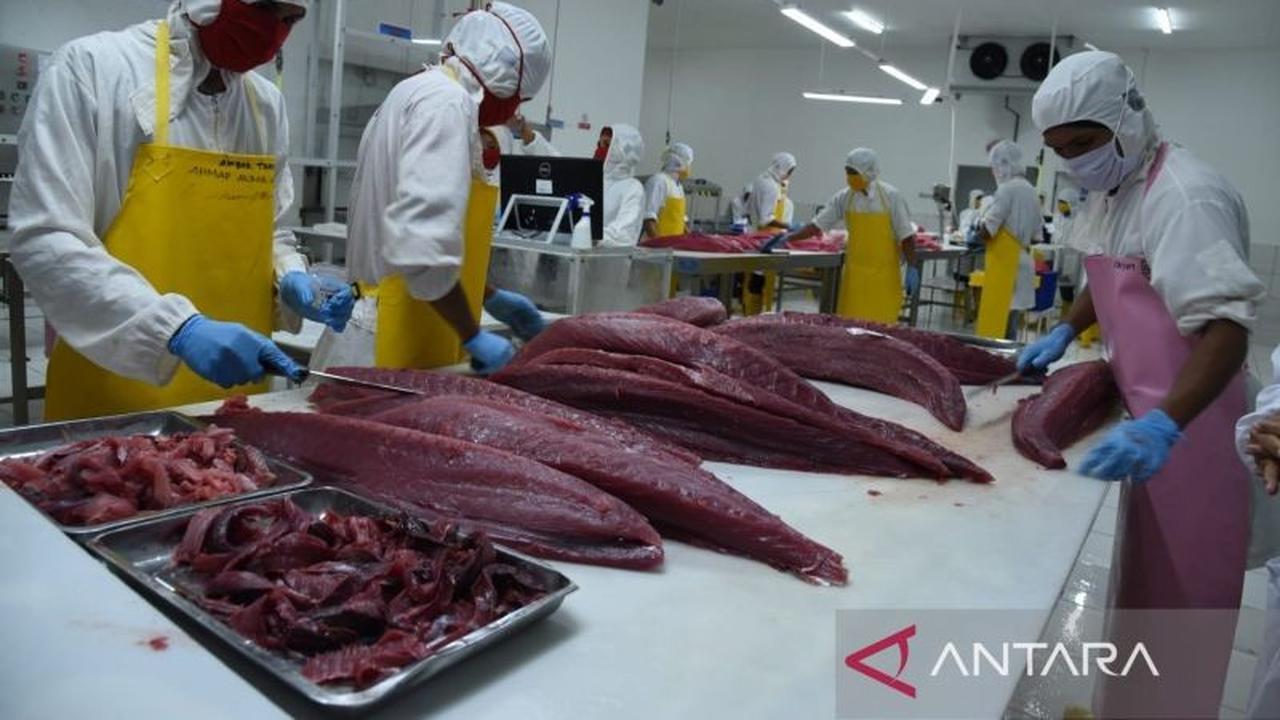 Morotai: Titik Awal Kebangkitan Hilirisasi Tuna Nusantara dan Potensi Ekonomi Maritim