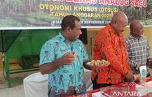 Tahukah Kamu? Pangan Lokal Biak, dari Pokem hingga Sagu, Potensial Dukung Makan Bergizi Gratis