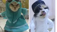 Kelakuan 8 Kucing Pakai Baju Koko Ini Lucunya Kebangetan (sumber: Twitter.com/subtanyarl dan Twitter.com/thisisschnylwfe)