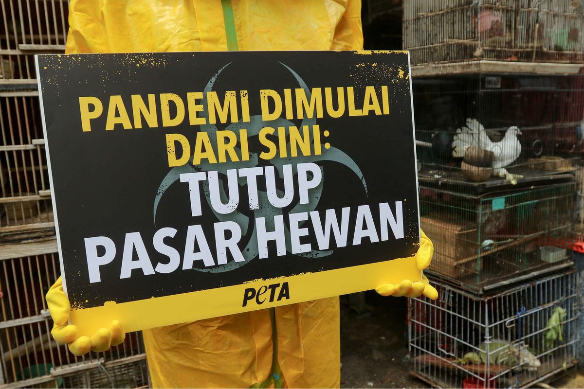 Aktivis PETA demo di Pasar Hewan Jatinegara