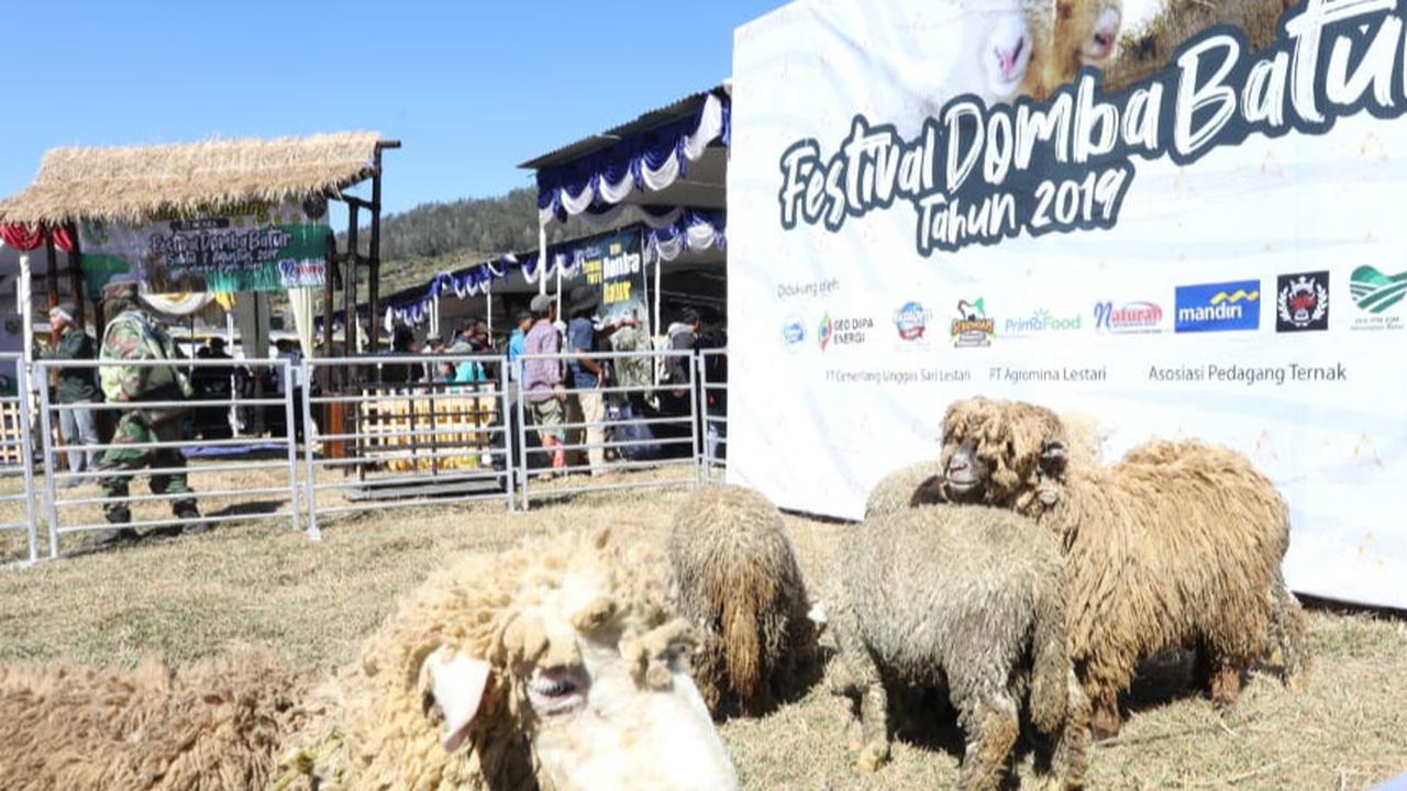 Domba Batur