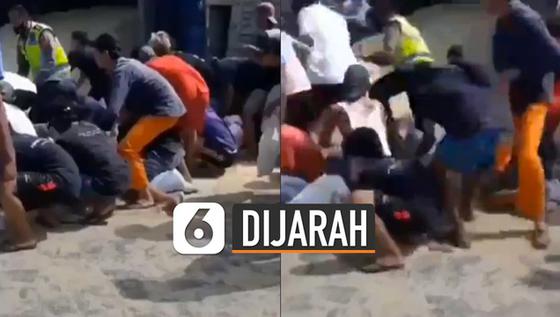 VIDEO: Viral Truk Terguling, Warga Jarah Pakan Ternak dari Truk