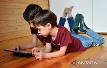 BPKN Dukung Kebijakan Pembatasan Media Sosial Anak, Lindungi Konsumen Digital