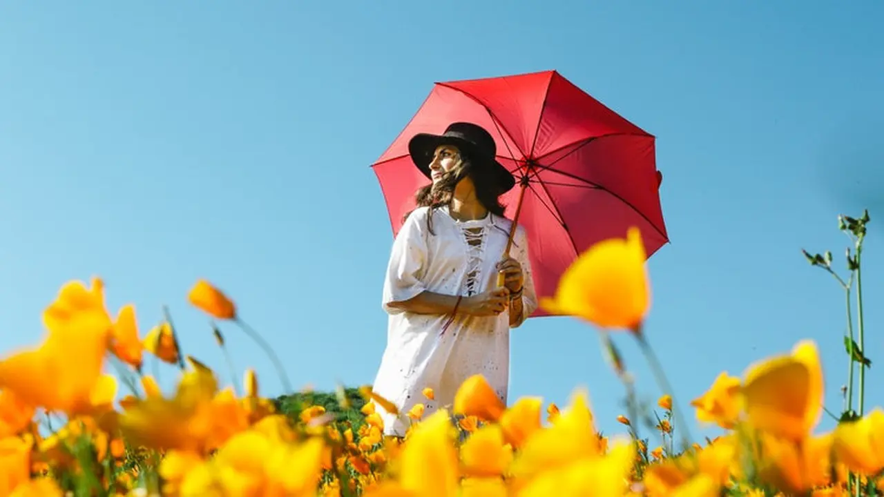 [Bintang] Tarot Hari Ini: Yakin Rumput Tetangga Lebih Hijau?