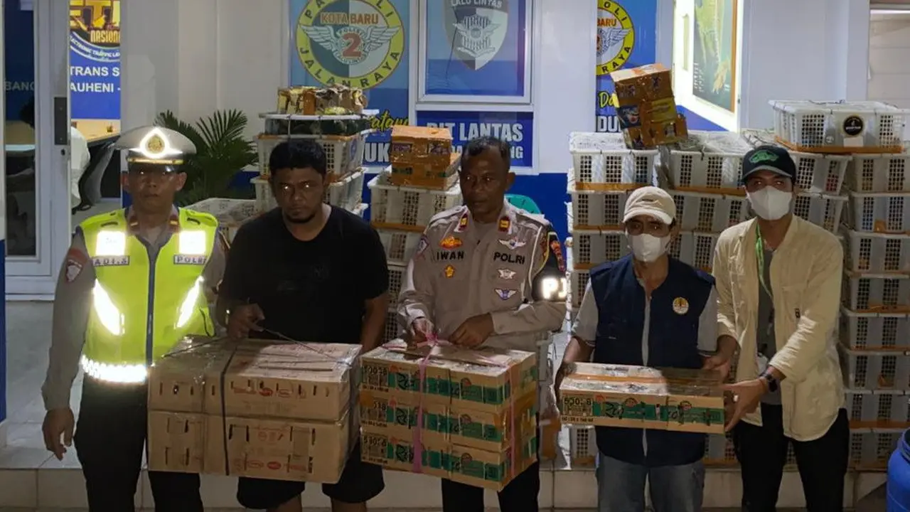 Aksi Penyelundupan 1.532 Burung Ilegal di Lampung Terbongkar, Tujuannya Pasar Burung Jawa Barat