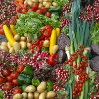 Ilustrasi sayur-sayuran. (dok. Unsplash/Chantal Garnier)