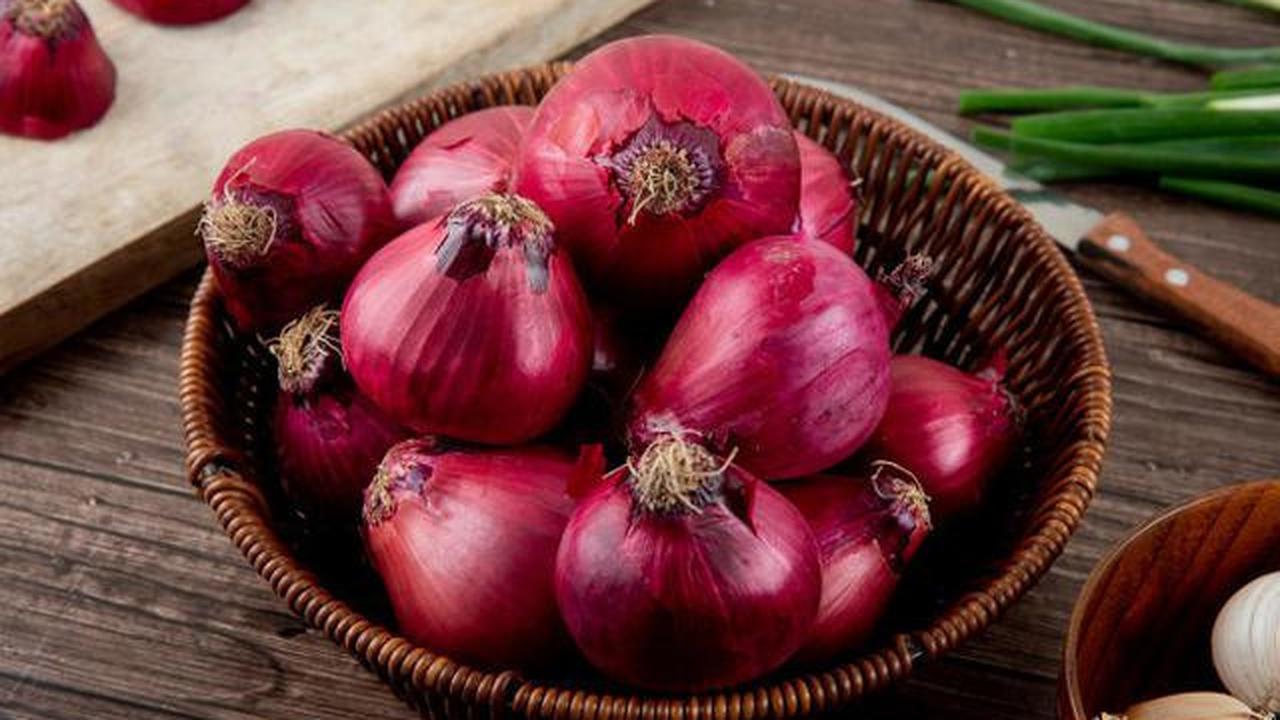 5 Cara Menyimpan Sayur agar Segar Hingga Seminggu, Anti Layu dan Hemat Uang