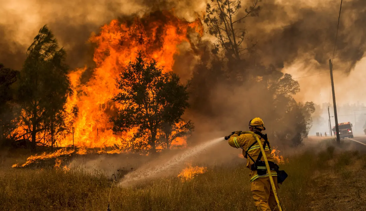 Seorang petugas pemadam kebakaran sedang memadamkan lahan yang terbakar di kawasan Rocky Fire, San Francisco, California, Kamis (30/7/2015). Kebakaran terletak 180 km, sebelah utara dari San Francisco. (REUTERS/Max Whittaker)