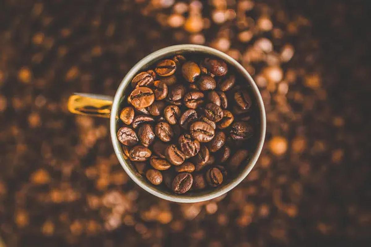 Mudah Dibuat, Begini Resep Camilan Kopi Sehat dan Lezat Bebas Kolesterol