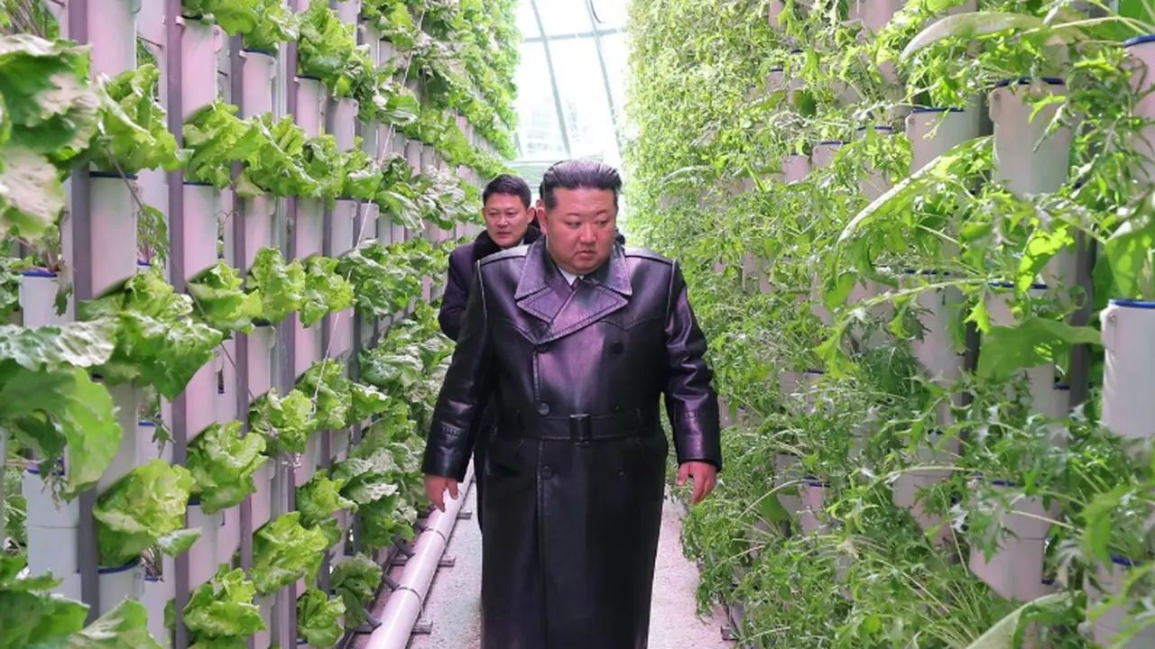 Kim Jong Un hadir  pada pembukaan lokasi pertanian rumah kaca di Sinuiju, Korea Utara, pada 1 Februari 2026 (Dok. KCNA)