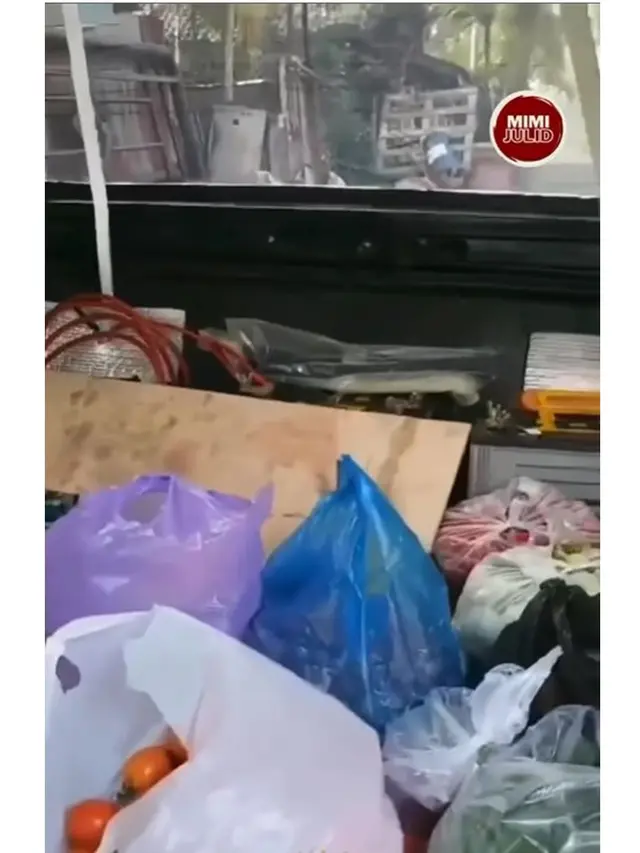 Sempat Viral Mobil Dipasangi AC Rumahan, Ini 6 Potret Penampakan Dalamnya