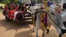 Sejumlah wanita India menaiki gerobak sapi saat merayakan Festival Pongal atau dikenal sebagai festival panen Tamil di sebuah perguruan tinggi di Chennai, India (11/1). (AFP Photo/Arun Sankar)