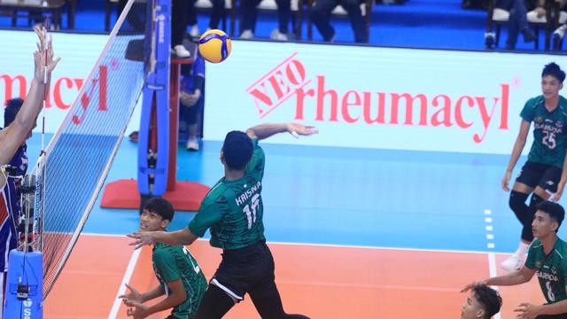 PLN Mobile Proliga 2024