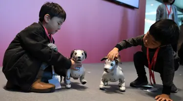 Dua orang anak bermain dengan robot anjing dari Sony, Aibo setelah setelah upacara ulang tahun sekaligus peresmiannya di Tokyo, Jepang (11/1). (AFP Photo/Kazuhiro Nogi)