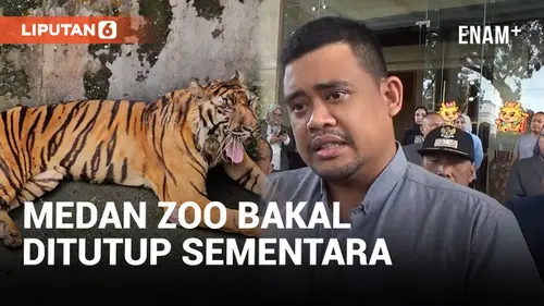 VIDEO: Bakal Direnovasi, Bobby Nasution Umumkan Medan Zoo Akan Ditutup Sementara