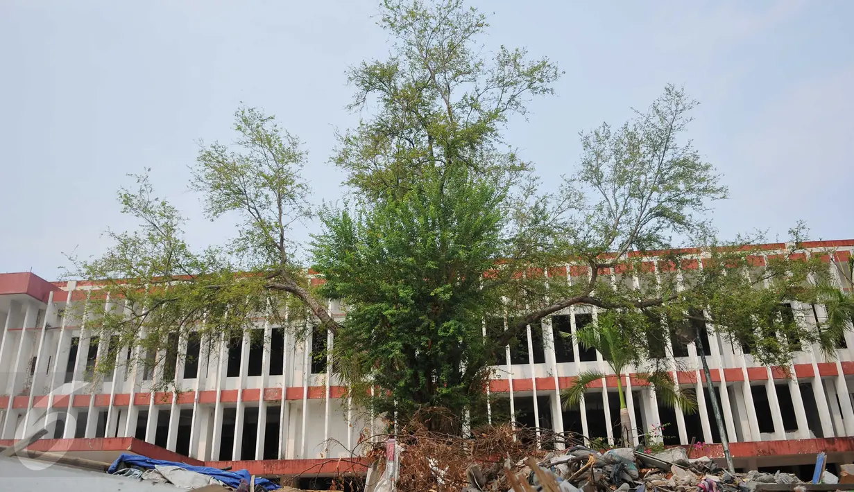 Kondisi Bandar Udara Kemayoran yang memprihatinkan, Jakarta, Selasa, (11/11/2015). Akan dilakukannya renovasi untuk memperbaiki sejumlah bangunan yang telah dimakan usia. (Liputan6.com/Gempur M Surya)