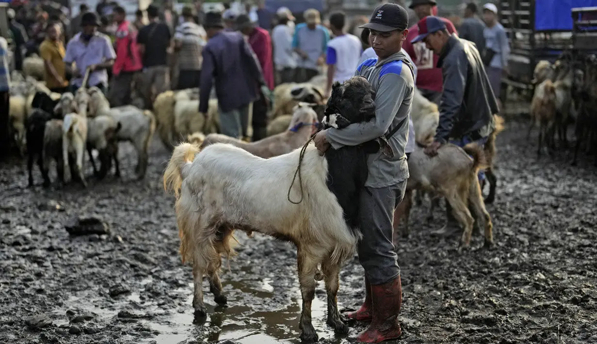 <p>Menurut pedagang setempat, menjelang Hari Raya Idul Adha pasar hewan tersebut kian ramai pembeli. (AP Photo/Dita Alangkara)</p>