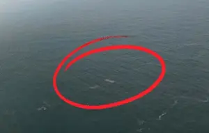 Konten Kreator Drone Temukan Sesuatu di Sekitar Anak Krakatau
