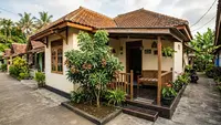 7 Cara Mengerdilkan Pohon Kelengkeng agar Tetap Berbuah Lebat