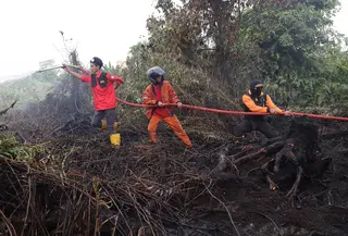 Petugas pemadam kebakaran menyemprotkan air untuk memadamkan api yang melalap lahan gambut di Kubu Raya, Kalimantan Barat, Indonesia, Selasa, 11 Agustus 2026. (Foto AP/Stefanus Taman)