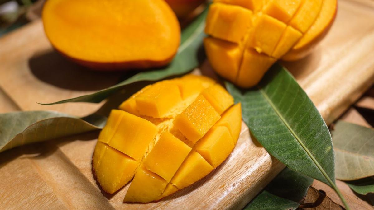Cara Menyimpan Mangga agar Tetap Manis dan Tidak Cepat Lembek, Segar Lebih Lama tanpa Mengubah Rasa
