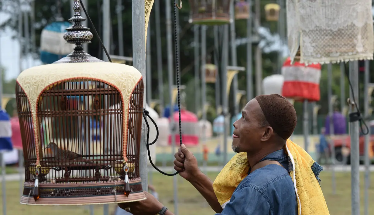 Seorang peserta menyiapkan burung peliharaannya saat mengikuti kontes burung berkicau di Provinsi Narathiwat di Thailand selatan (22/9/2019). Lebih dari 1.800 burung dari Thailand, Malaysia, dan Singapura mengambil bagian dalam kontes tahunan. (AFP Photo/Madaree Tohlala)
