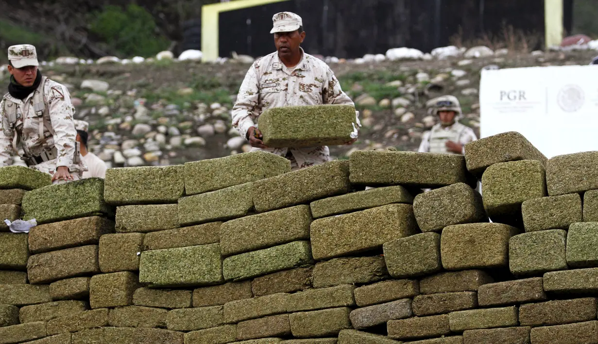 Petugas menumpuk ganja sebelum dibakar di kamp 28 Angkatan Darat di Tijuana, Meksiko, (27/11). Sekitar 18 ton ganja dan satu ton methamphetamine dibakar usai disita dalam operasi tiap daerah yang berbeda. (REUTERS/Jorge Duenes)