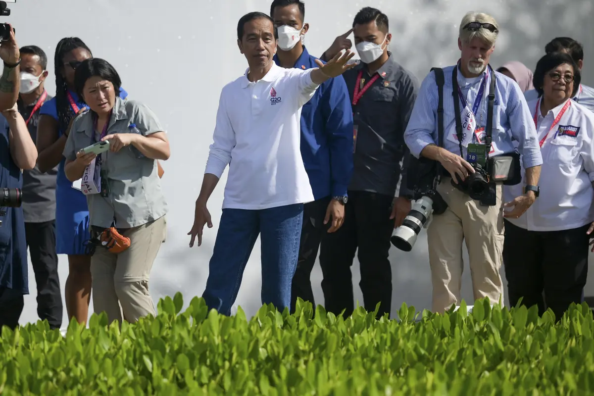 Kegiatan Presiden Jokowi Ajak Delegasi KTT G20 ke Hutan Mangrove