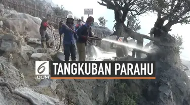 Hari Kamis (1/8) rencananya lokasi wisata Tangkuban Parahu akan kembali dibuka. Saat ini petugas masih bekerja keras bersihkan abu vulkanik. Simak kondisi terkininya.