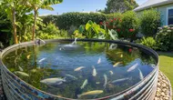 12 Tips Memanfaatkan Tandon Bekas Menjadi Kolam Gurame Produktif di Rumah, Simak Caranya