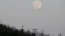 Foto yang diambil pada 26 April 2021 ini menunjukkan "Bulan Super Pink" yang muncul di belakang patung Kristus di Wolxheim, Prancis timur. Super Pink Moon merupakan fenomena alam ketika posisi bulan purnama berada terdekat dengan bumi. (PATRICK HERTZOG / AFP)