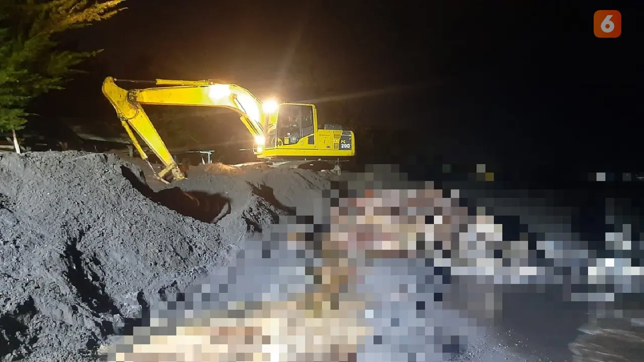Bangkai Paus Sperma yang tergeletak di Pantai Bulusan Banyuwangi akhirnya bisa dikubur (Hermawan Arifianto/Liputan6.com)