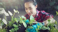 Aktivitas berkebun dapat menyalurkan kecermatan sekaligus memberi kepuasan saat melihat hasil yang rapi, teratur, dan tumbuh sempurna sesuai rencana. (Foto dok: Freepik/EyeEm).