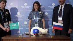 Kucing bernama Achilles saat meramal laga antara Rusia kontra Arab Saudi di Saint Petersburg, Rusia, Rabu (13/6/2018). Kucing putih dan tuli ini menjadi hewan peramal resmi di Piala Dunia 2018. (AP/Dmitri Lovetsky)